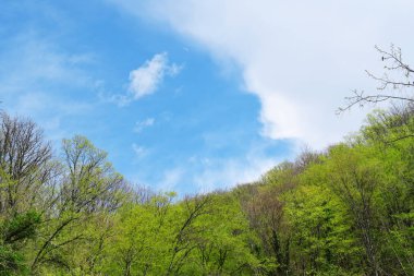 Bulutlu gökyüzü ile güzel manzara