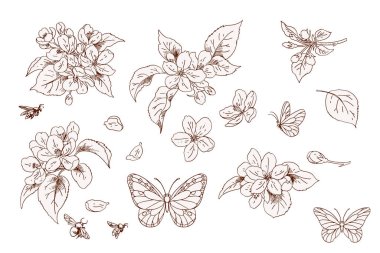 Çiçekler ve kelebekler.