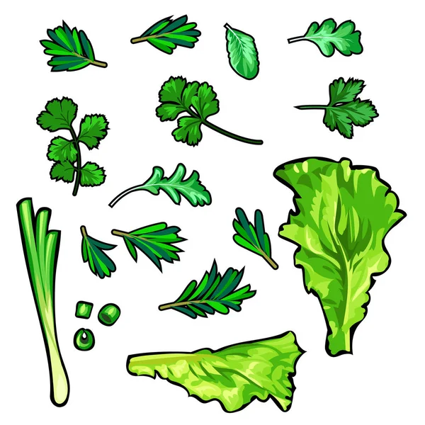 Set de vegetación vectorial decorativa — Vector de stock