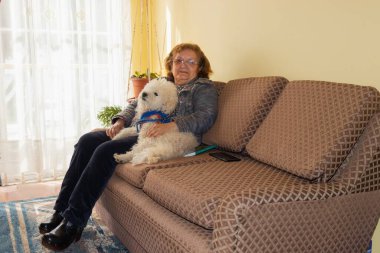 Kanepede köpeğinin yanında oturan yaşlı kadın.