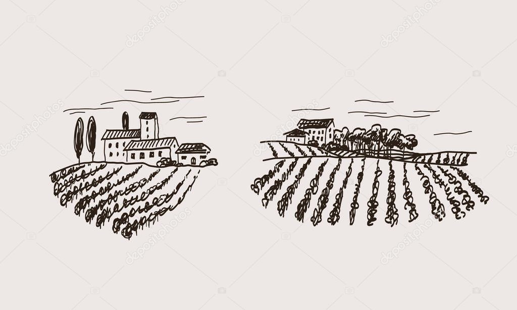Rural Vineyard landscape drawing. Sketch panoramic format with harvest fields on small hills. Hand drawn vector illustration of grape plant on isolated background. Design for label, template, logo