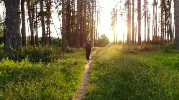 Mujer de los deportes corriendo en los bosques a lo largo del camino — Vídeos de Stock