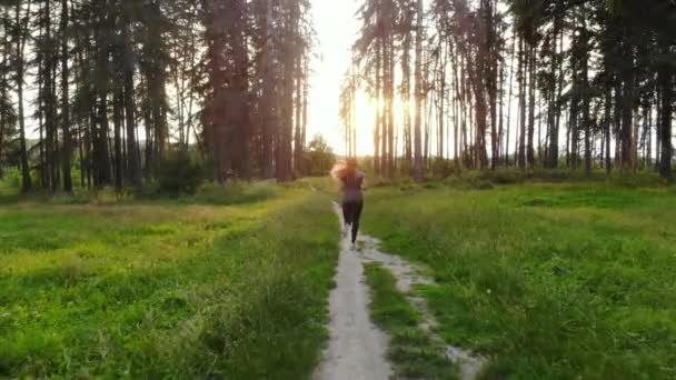 Спортивна жінка біжить у лісі вздовж стежки — стокове відео