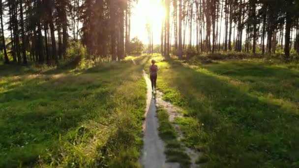 Жінка-спортсменка біжить в лісі на світанку — стокове відео