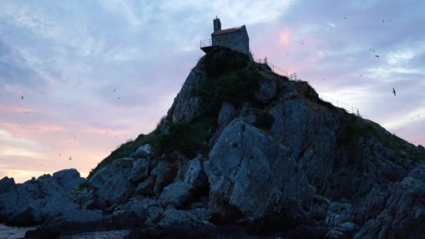 Isla rocosa mística envuelta en aves — Vídeo de stock