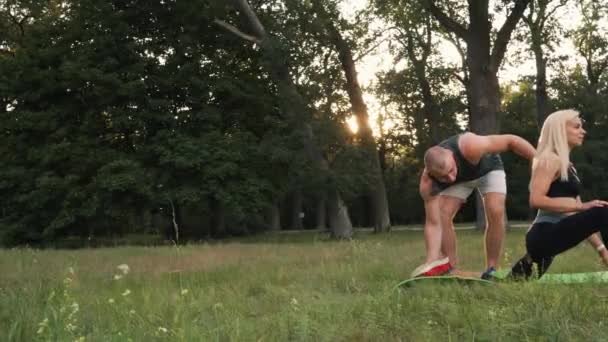 Jovens cônjuges fazendo ginástica na natureza — Vídeo de Stock