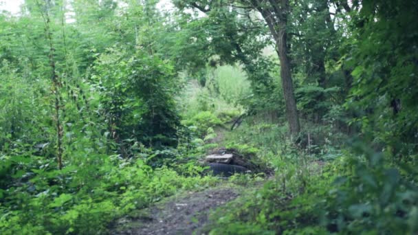 Ciclista extremo paseos por sendero forestal, cámara lenta — Vídeo de stock