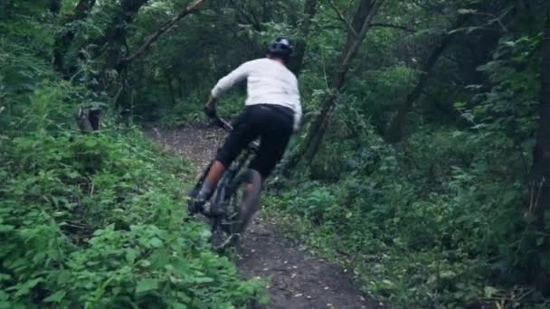Экстремальный велосипедист едет по лесной тропе, замедленная съемка — стоковое видео