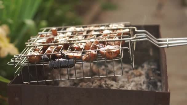 Fresh vegetables baked on barbecue, slow motion — Stock Video