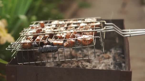 Legumes frescos assados em churrasco, câmera lenta — Vídeo de Stock