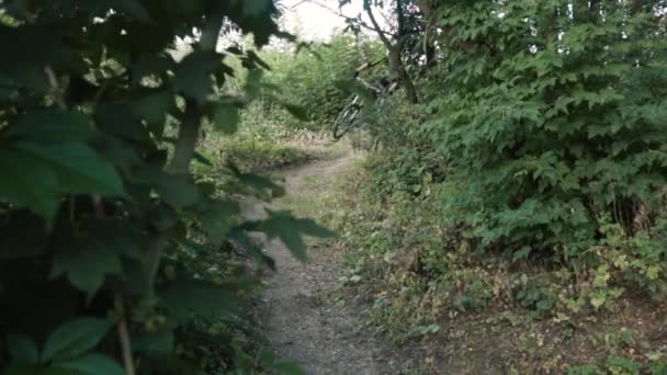 Ciclista Extremo Paseos Bicicleta Ruta Bosque Cámara Lenta — Vídeo de stock