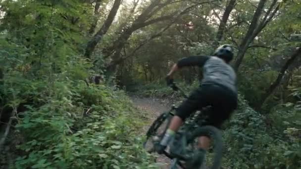 Fietser Rijdt Langs Bos Weg Terug Naar Camera Slow Motion — Stockvideo