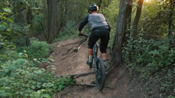 Ciclista Extremo Monta Obstáculos Estrada Floresta — Vídeo de Stock