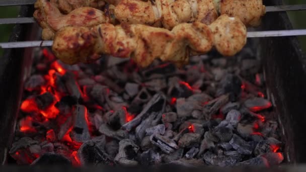 La carne a la saliva es cocida a la parrilla — Vídeos de Stock