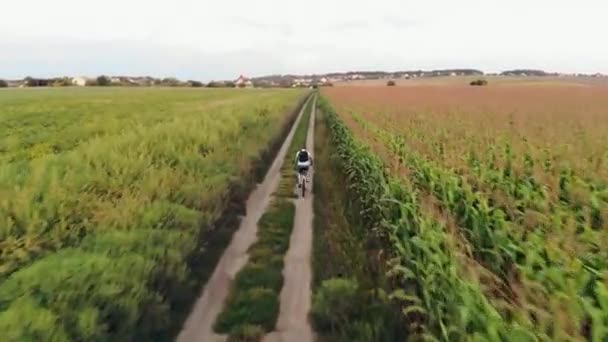 Ciclista paseos a lo largo de país vista aérea carretera — Vídeos de Stock