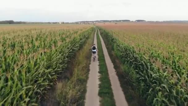 Radfahrer fährt Landstraße entlang — Stockvideo