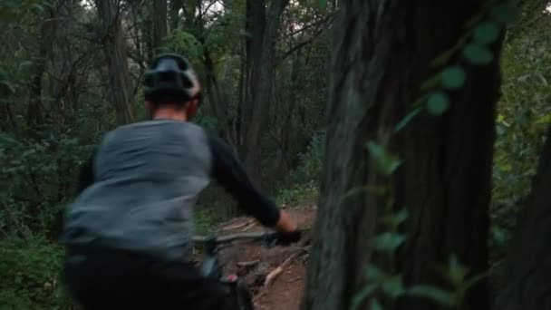 Passeios ciclistas extremos no caminho da floresta, câmera lenta — Vídeo de Stock