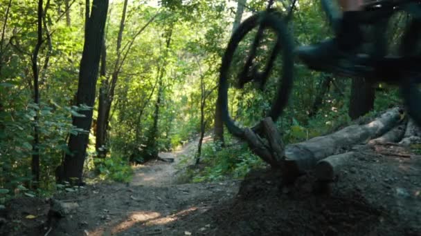 Orman, ağır çekim Road Dağ bisikletçinin atılıyor — Stok video