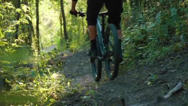 Extreme bicyclist rides on forest path, slow motion — Stock Video