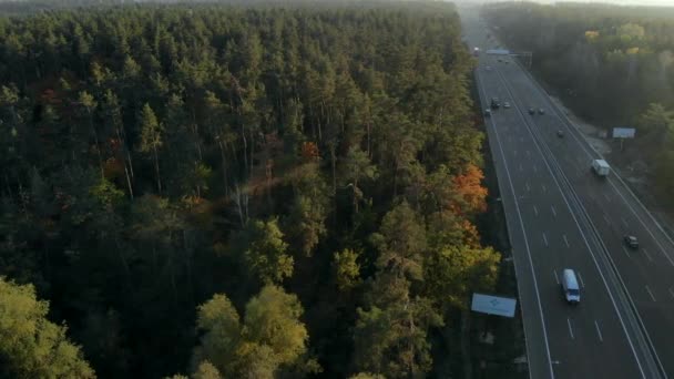 Вид с воздуха на оживленное шоссе, окруженное лесом — стоковое видео