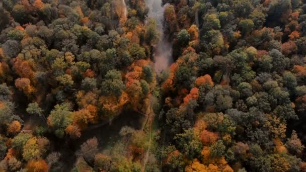 Vista aérea del parque de otoño con lago — Vídeo de stock