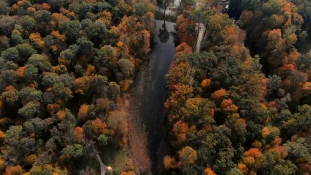 Vista aérea del parque de otoño con lago — Vídeo de stock