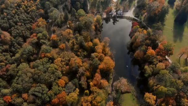 Vista aérea del parque de otoño con lago — Vídeo de stock