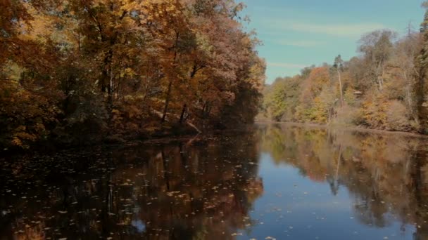 Flight over lake in autumn park — Stock Video