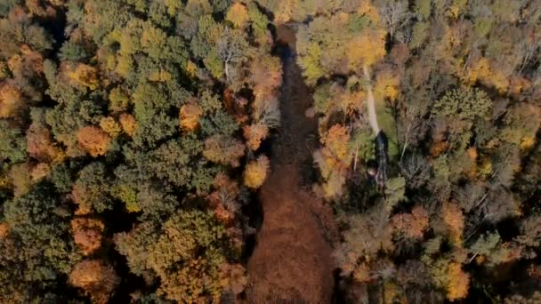 Luchtfoto van herfst park met vijver — Stockvideo