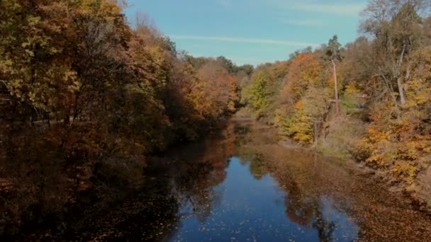 Vlucht over lake in herfst park — Stockvideo