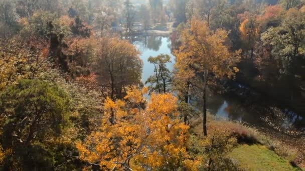 Vuelo sobre el lago en el parque de otoño — Vídeo de stock