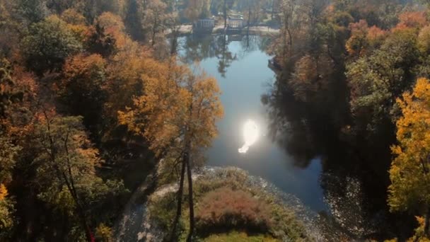 Flug über See im Herbstpark — Stockvideo