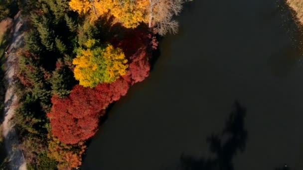 Letecký pohled na podzimní park s jezerem — Stock video