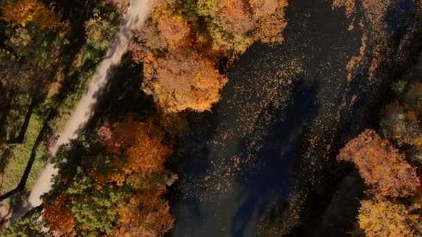 Aerial view of autumn park with lake — Stock Video