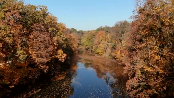 湖の秋の公園の航空写真 — ストック動画