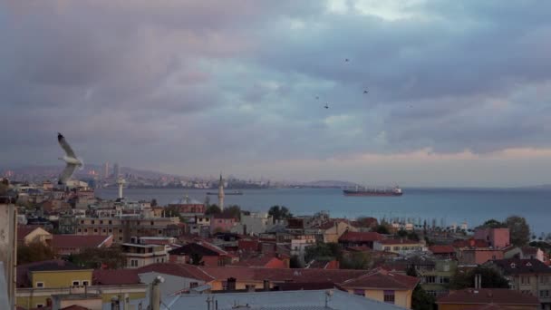 Вечерняя панорама Стамбула с видом на Босфор — стоковое видео