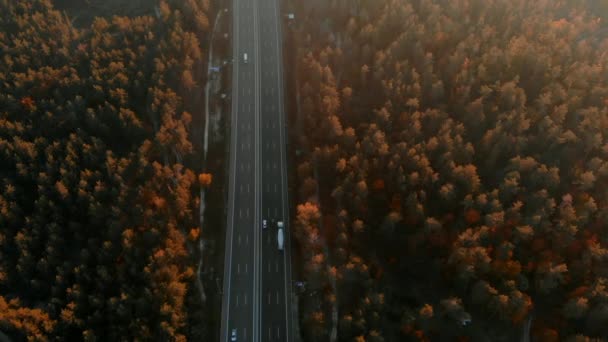 Вид с воздуха на оживленное шоссе, окруженное лесом — стоковое видео