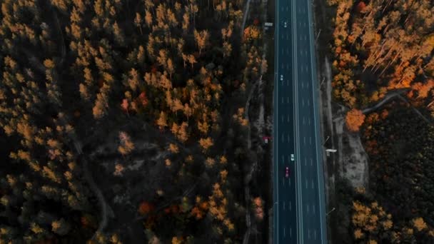 Drony Zastřelil Několikaproudové Road Podzimním Lese — Stock video