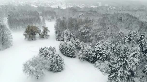 Luchtfoto van besneeuwde winter park — Stockvideo