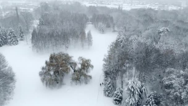 Pessoas Andam Parque Nevado Dia Inverno — Vídeo de Stock