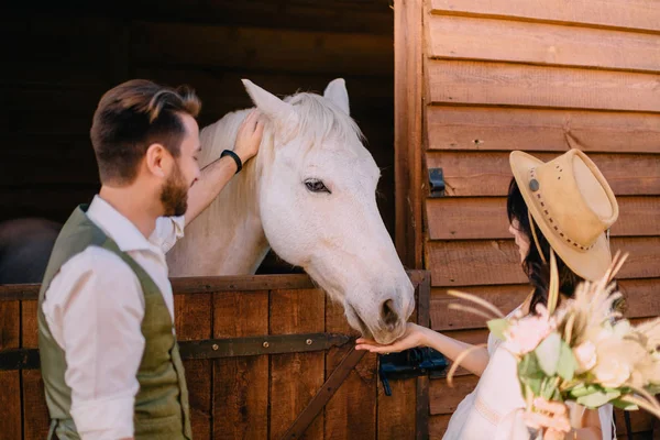 Stylish newlyweds hugging near horse, country style — Stock Photo, Image