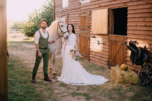 Stylish newlyweds stand near horse and look into camera — Stock Photo, Image