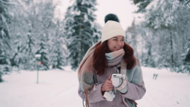 Mujer feliz caminando en el parque cubierto de nieve celebración de teléfono inteligente — Vídeos de Stock