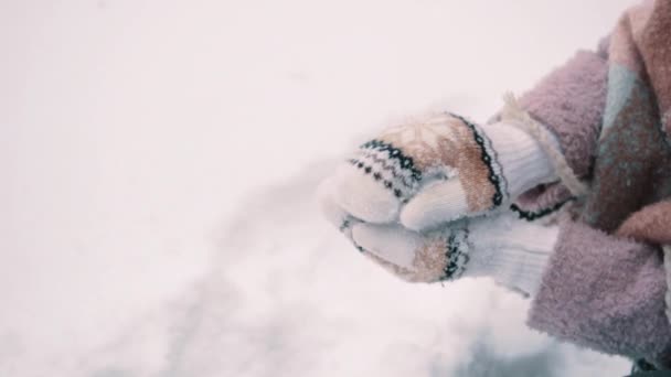 Close Vrouwelijke Handen Maken Sneeuwballen Park — Stockvideo