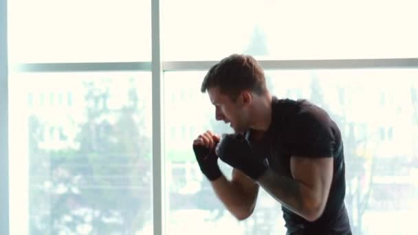 Boxeador haciendo lucha con sombra, de cerca — Vídeos de Stock