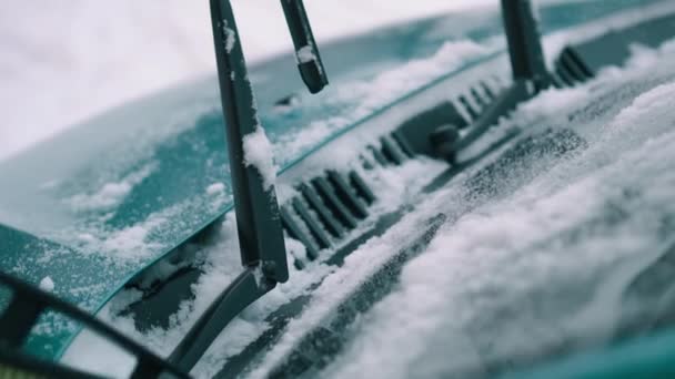 Donna rimuove la neve dal parabrezza, da vicino — Video Stock