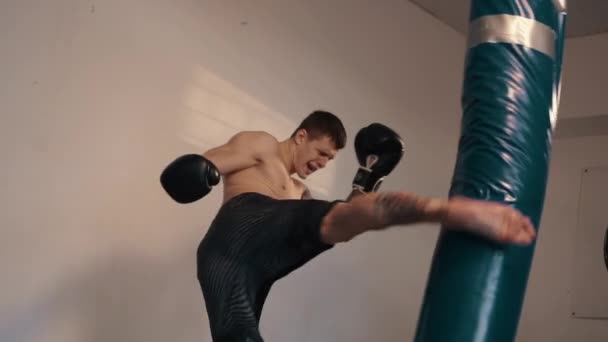 Combattant gratuit a sac de boxe dans la salle de gym — Video