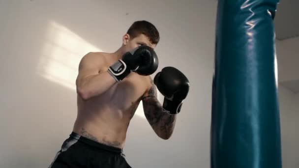 Forte homem caucasiano boxe usando saquê de soco — Vídeo de Stock