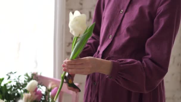 여성 플로리스트 정리 꽃 스토킹, 클로즈업 — 비디오