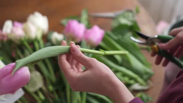 Női virágkereskedések kezek metszeni a tüll szárak — Stock videók